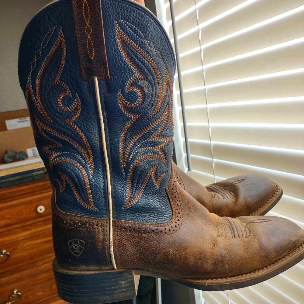 Ariat Mens boots